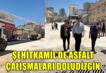 Başkan Yılmaz asfalt çalışmalarını yerinde inceledi