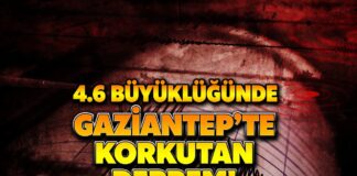 4,6 büyüklüğünde deprem Gaziantep’i salladı!