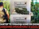 Gaziantep’in 3 ilçesinde kenevir operasyonu: 8 gözaltı