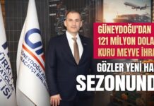 Güneydoğu’dan 6 ayda 121 milyon dolarlık kuru meyve ihracatı gerçekleştirildi
