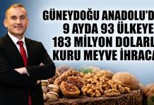 Güneydoğu Anadolu’dan kuru meyve ihracatı yüzde 22,9 geriledi