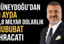 Tarladan dünya sofralarına: Güneydoğu’dan 9 ayda 2,8 milyar dolarlık hububat ihracatı